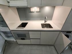 V On Shenton (D1), Apartment #603173981